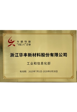 專精特新“小巨人”企業